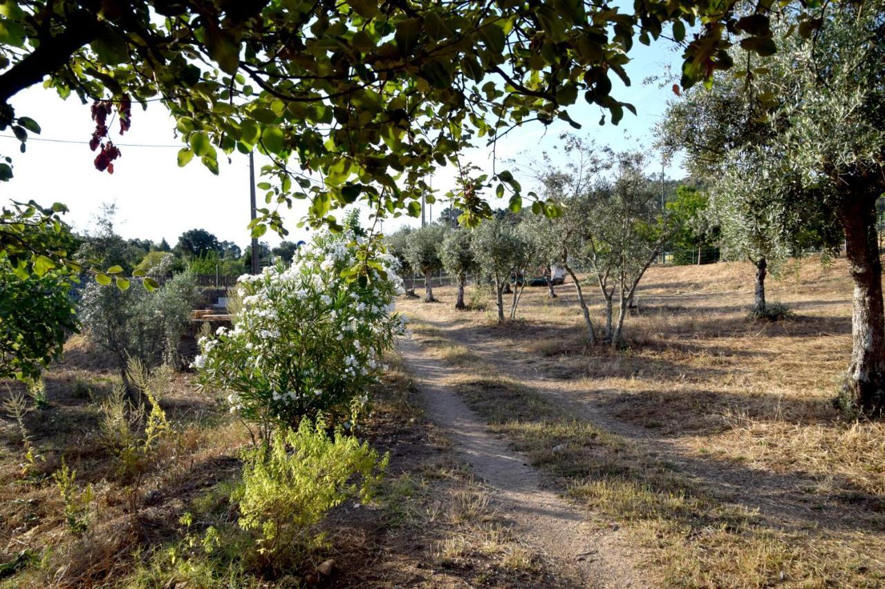 Ola Linda - Casa De Campo - Castelo de Vide Exterior foto