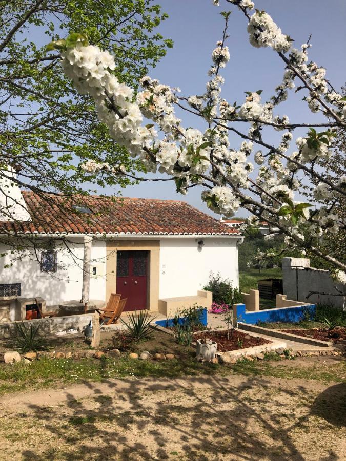 Ola Linda - Casa De Campo - Castelo de Vide Exterior foto
